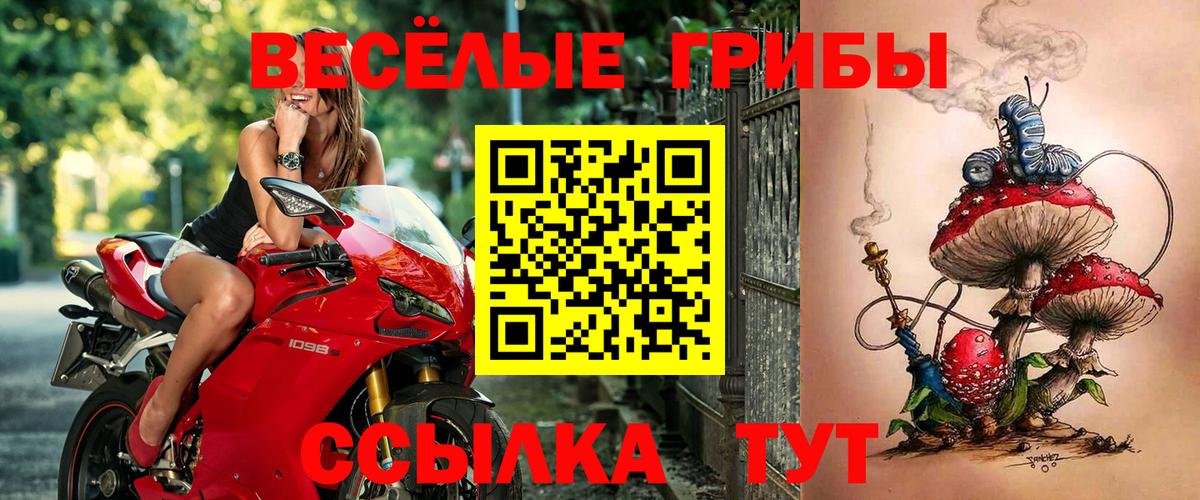 Рассказово  Псилоцибиновые грибы мухоморы  Вход с VPN 